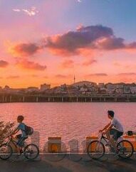 彩杏的意思-彩杏的诗意与象征